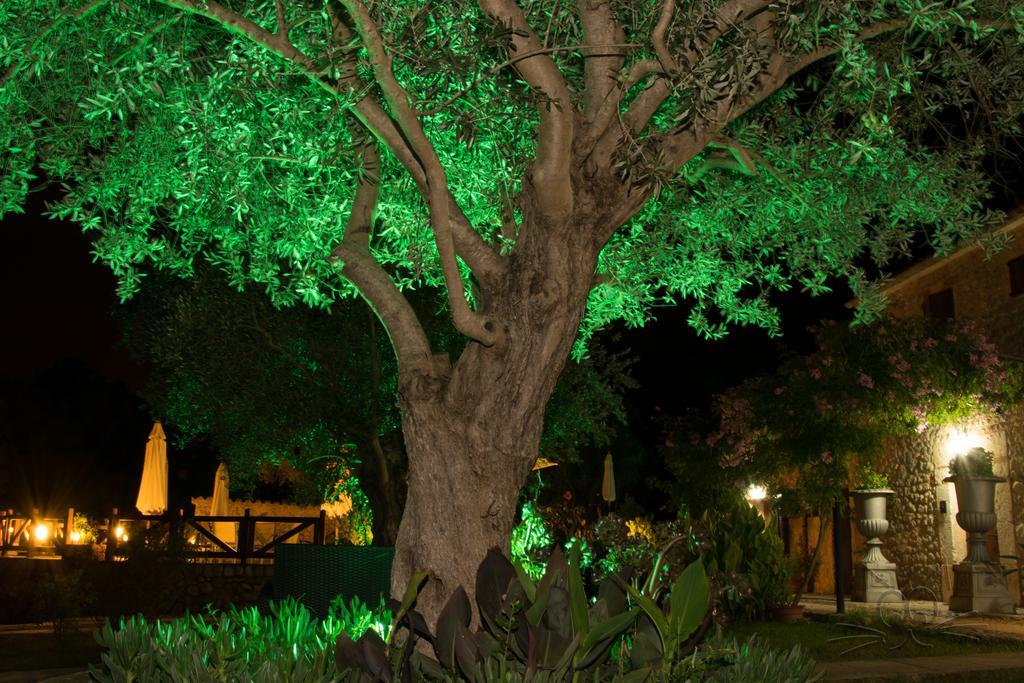 Finca Son Olive El Port de la Selva Luaran gambar